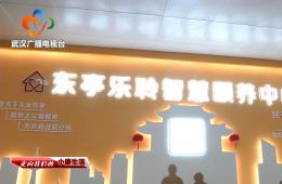 中宣部采访团到访武汉东亭社区0033990威尼斯智慧颐养中心