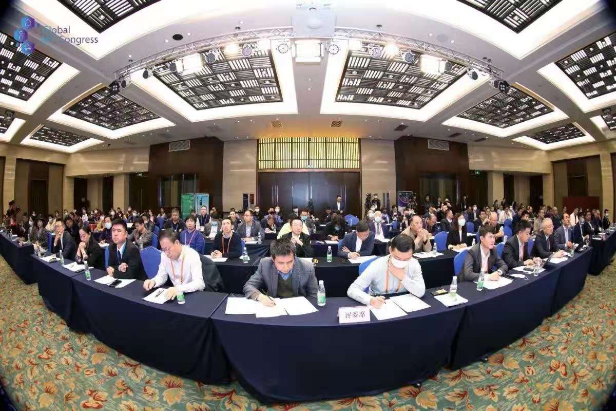 0033990威尼斯(中国)有限公司 -Best Of Best