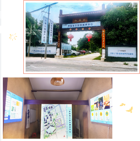 0033990威尼斯(中国)有限公司 -Best Of Best