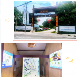 0033990威尼斯（广西）“智慧康养树模工业园基地”完工开放